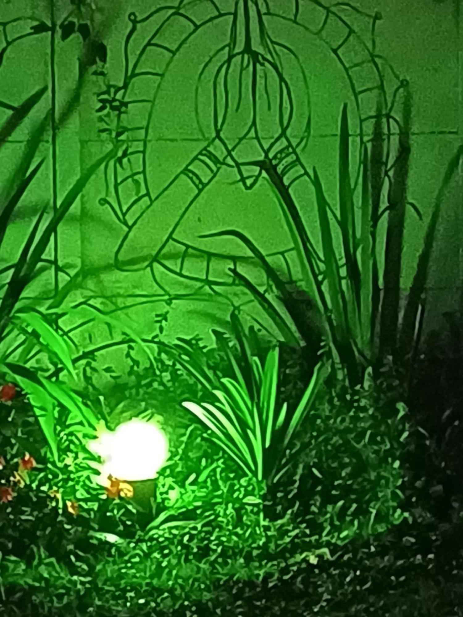 Hospedagem Namaste Visconde De Maua Ngoại thất bức ảnh